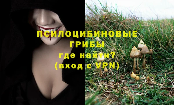 первитин Балахна