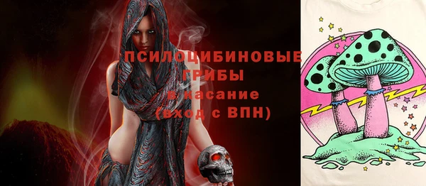 скорость Белокуриха