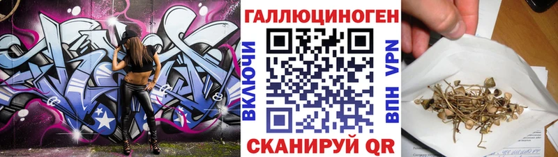 hydra зеркало  продажа наркотиков  Первомайск  Псилоцибиновые грибы Magic Shrooms 